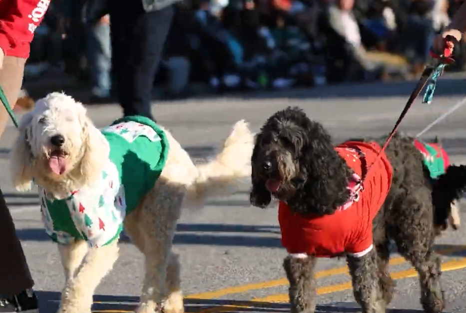 High Point Holiday Parade